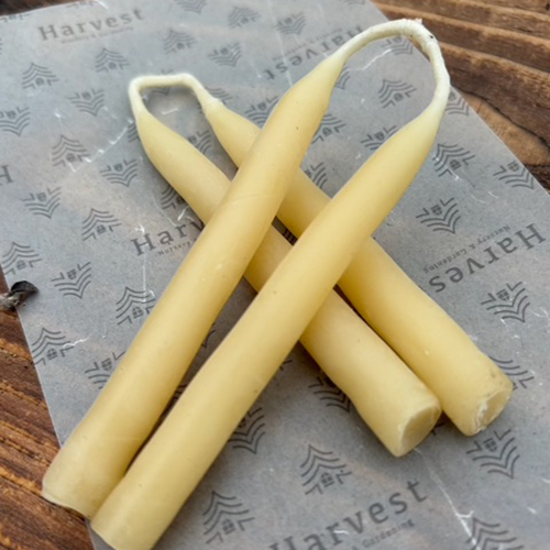 自然からのギフトを使ったクラフト制作<FONT color="#d2b48c">／工場蚤の市2026</FONT>