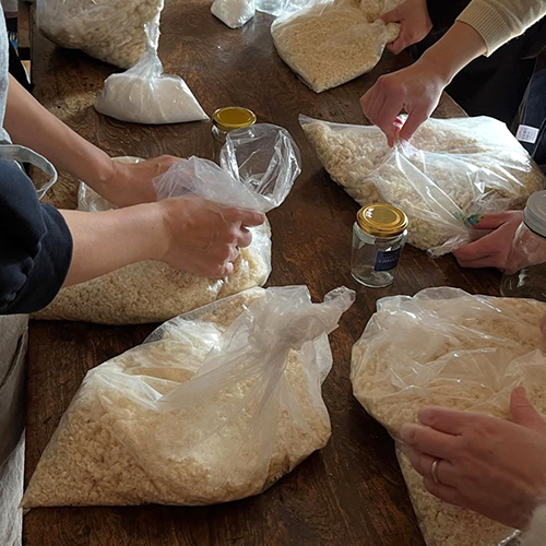 みんなでみそ作り 糀屋 豆しごと@工場蚤の市<FONT color="#d2b48c">／工場蚤の市2026</FONT>