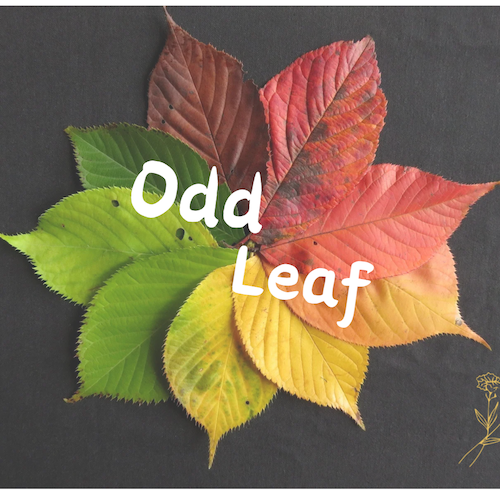 Odd Laef (オッドリーフ)